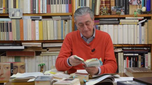 Loescher Editore WebTV - Carlo Emilio Gadda, Quer pasticciaccio brutto